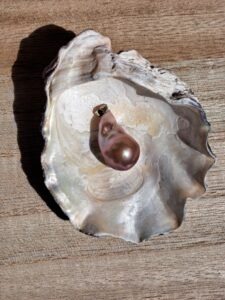 20220820 143301 resized