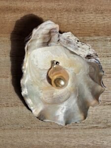 20220820 143314 resized