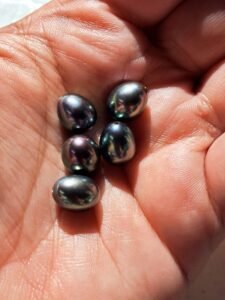 20220820 144936 resized