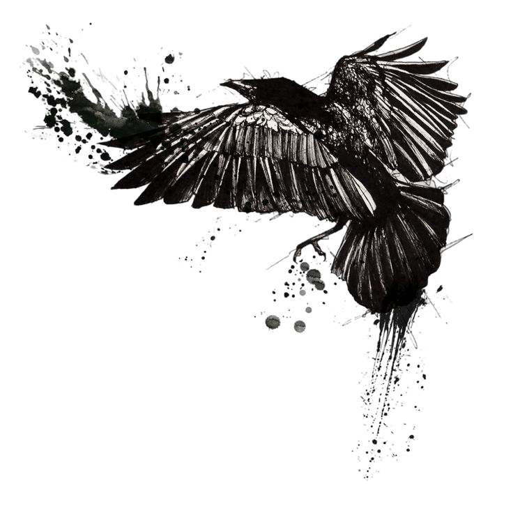 MANIFESTO Raven In Flight Drawing Transparent